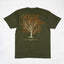 識 TREE TEE(常磐 olive)