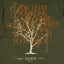 識 TREE TEE(常磐 olive)